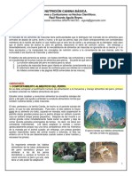 NUTRICIÓN CANINA BÁSICA UNAM 2015 R Aguila.pdf