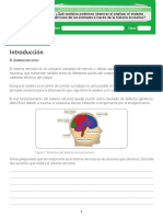 Sistema Nervioso Evolucion en Seres Vivos PDF