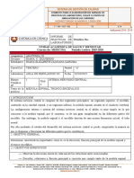 Informe Medula y Tronco Encefalico-Anatomia