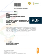 Carta Ese Comision Internacional PDF