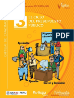 ciclo preesupuestario.pdf