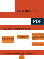 Sociologiajuridica 130426170750 Phpapp01 PDF