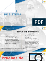 Pruebas Del Sistema