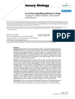 BMC Evolutionary Biology: Phylogenetic Diversity of Stress Signalling Pathways in Fungi