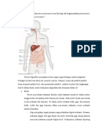 LKM Sistem Pencernaan No 1