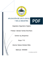 Aplicación de Las 9 S en El Hogar Y en La Industria: Asignatura: Seguridad e Higiene