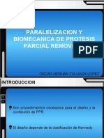 PPR Paralelización y biomecánica