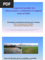 Download Prospects of Aerobic Rice Cultivation in Irrigated Areas of India by wtcangrau SN45567000 doc pdf