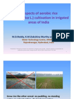 Prospects of Aerobic Rice Cultivation in Irrigated Areas of India