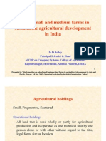 Role of Small and Medium Farms in Sustainable Agricultural Development in India
