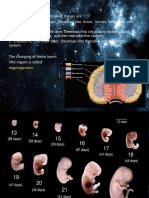 Biologi SAT 