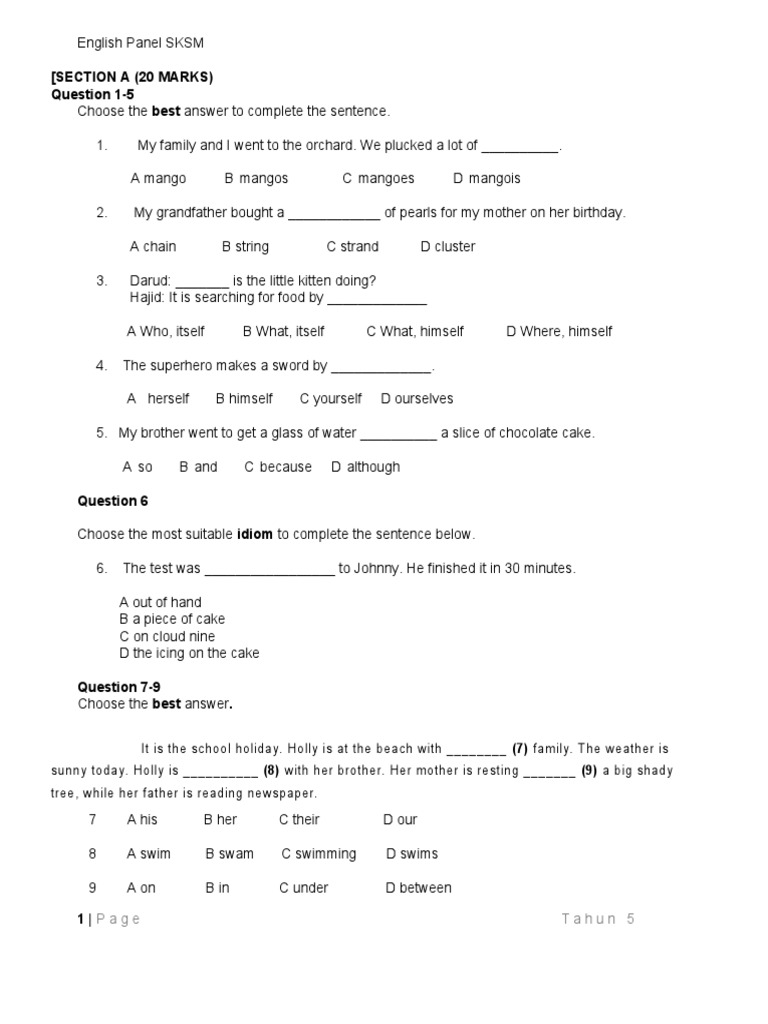 English Language Skills Assessment Test | PDF