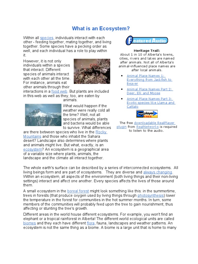 Understanding Ecosystems Explained | PDF | Ecosystem | Natural Environment