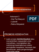 KONSEP PROMKES KEL 3