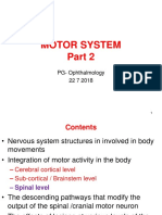 Motor System22 018
