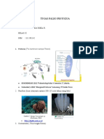 Tugas Protozoa