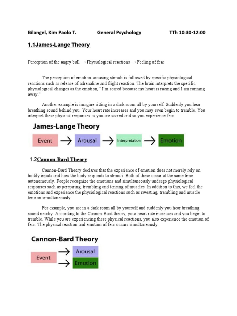 Understanding Emotion Theories in Psychology | PDF | Emotions | Senses