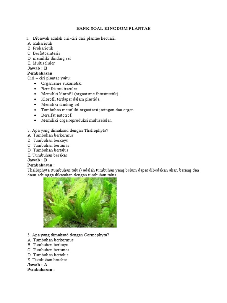 Bank Soal Kingdom Plantae