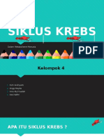 Siklus Krebs