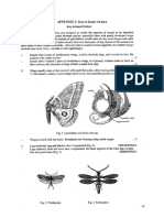 Key - To - Insect - Orders - Doc Filename - UTF-8''Key To Insect Orders