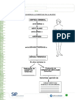 guia ciencia septimo croacia 2.pdf