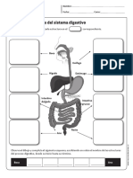 guia ciencias quinto a octavo sistema.pdf