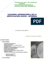 anatomia artroscopica glenohumeral ivss