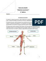 2do Sistema Locomotor CCNN