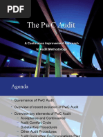 The PWC Audit - 011704 Presentation