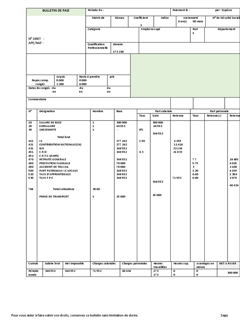 Fiche De Paie Excel Avec Formules 2020 Gratuit Pour 300 000 | PDF | Bulletin de salaire (droit français) | Salaires