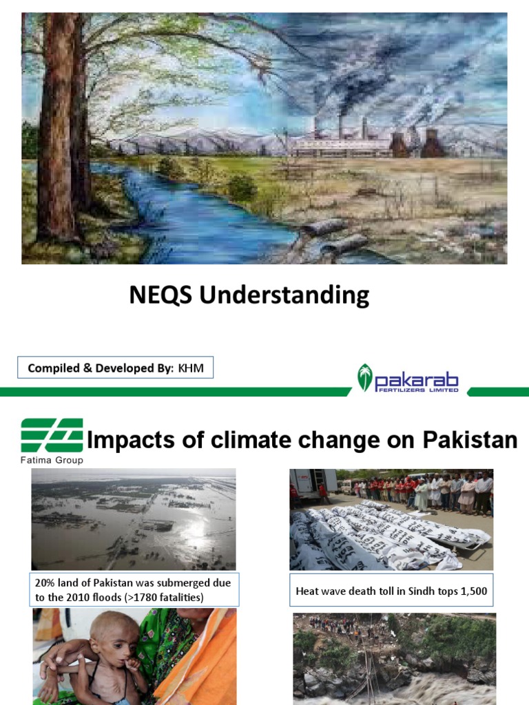 NEQS and PEQS Overview in Pakistan | PDF | Ammonia | Air Pollution