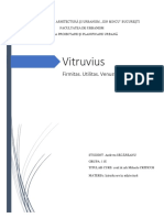 Vitruvius-1