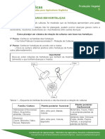 1-rotacao-de-culturas-em-hortalicas.pdf