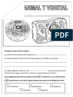 CIENCIAS.pdf