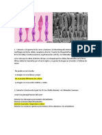 Quiz 2 Semana 7