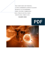 Desarrollo Embrionario PDF