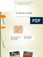9_aula_-_Identidade_e_Cultura_Surda.pdf