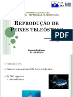 Reprodução - Introdução e Biologia Da Reprodução