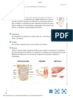 MODULO 4, P. AUXILIOS, CRUZ ROJA.pdf