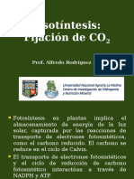Fotosintesis-Fijacion de Co2