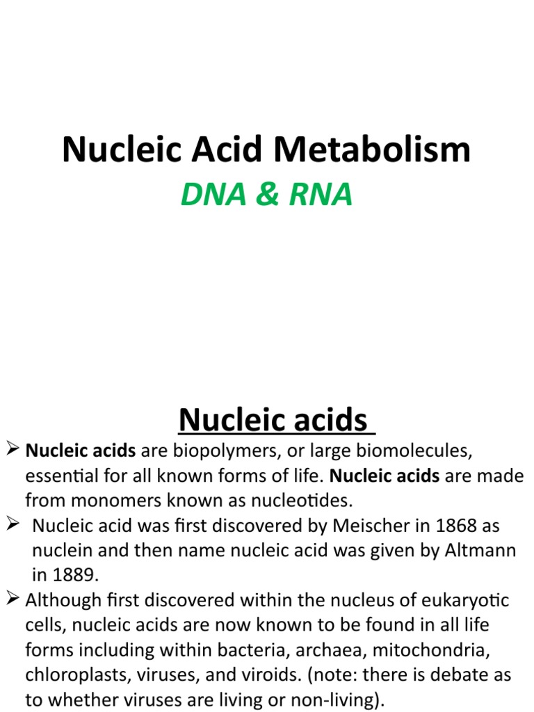 Nucleic Acid Metabolism Overview | PDF | Nucleic Acids | Rna