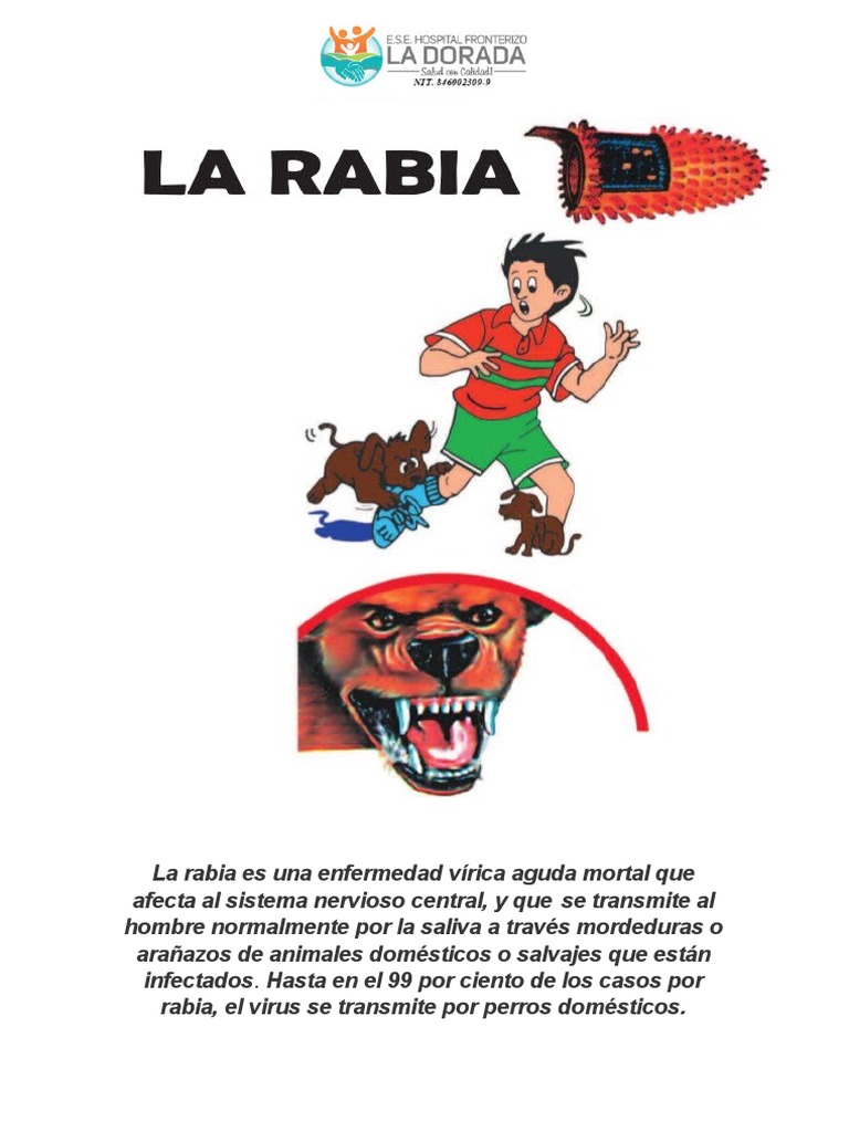 Síntomas y contagio de la rabia | PDF