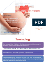 Pregnancy and Childbirth