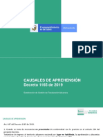 Causales de Aprehensión PDF