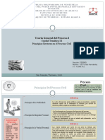 Mapa Mental Principios Del Proceso