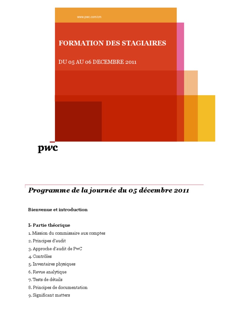Formation Audit PWC PDF | PDF | Erreur de mesure | Audit