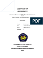 Laporan Praktikum Pertanian Organik