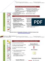 Requisitos para El Registro de Hierros y Señales PDF