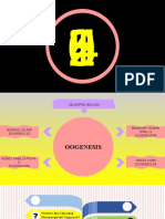 Oogenesis - Proses Pembentukan Sel Telur