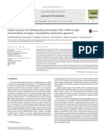 Global Response of Acidithiobacillus Ferrooxidans ATCC 53993